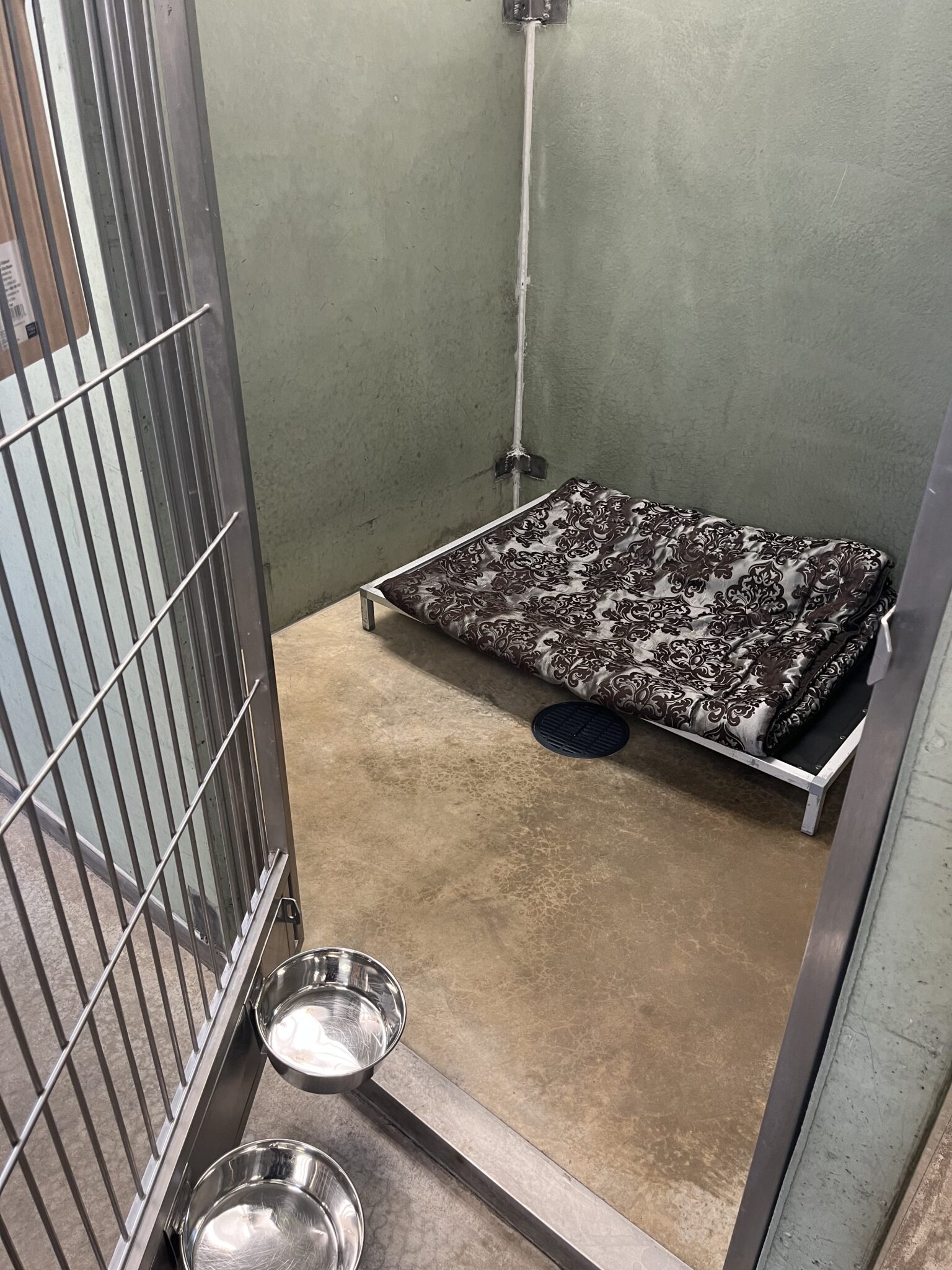 Boarding for Pets in Waunakee, WI Pineview Pet Resort